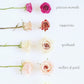 BOUTONNIERE