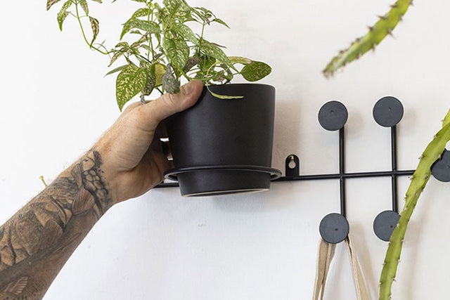 Junction Wall hanger